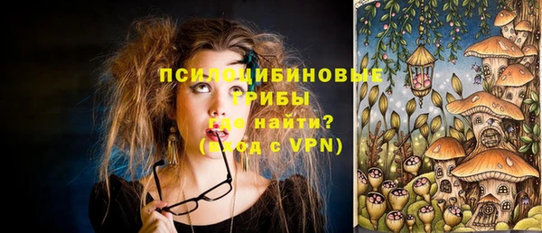 таблы Алексин