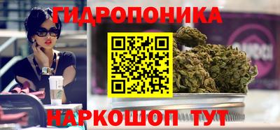 гидра Новокубанск