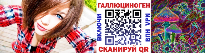 где купить наркотик  Тихвин  Галлюциногенные грибы Cubensis 