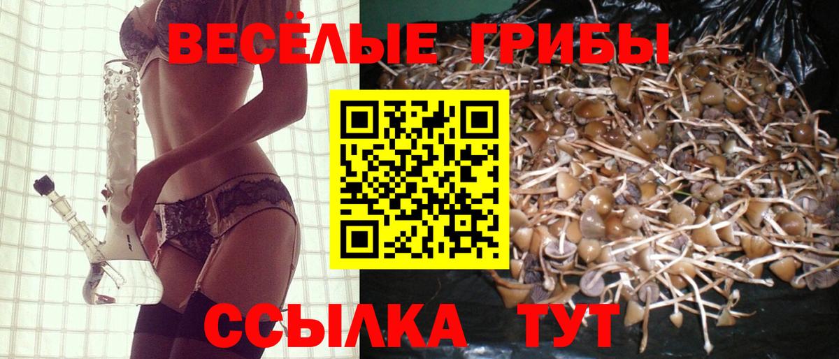 Тихвин  Галлюциногенные грибы ЛСД  Вход с VPN  Псилоцибиновые грибы Magic Shrooms 